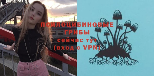 винт Михайлов