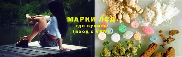 СК Михайловск