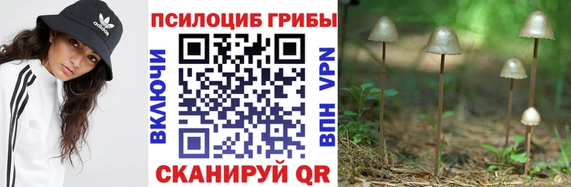 Купить где  Арзамас  Псилоцибиновые грибы ЛСД 