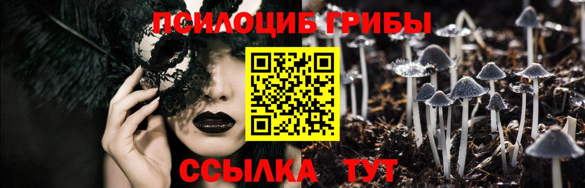 Галлюциногенные грибы GOLDEN TEACHER Арзамас